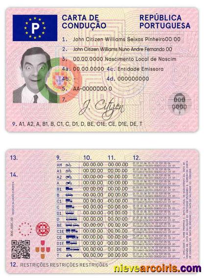Portugal driving license